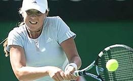 家队的长期 家队的长期